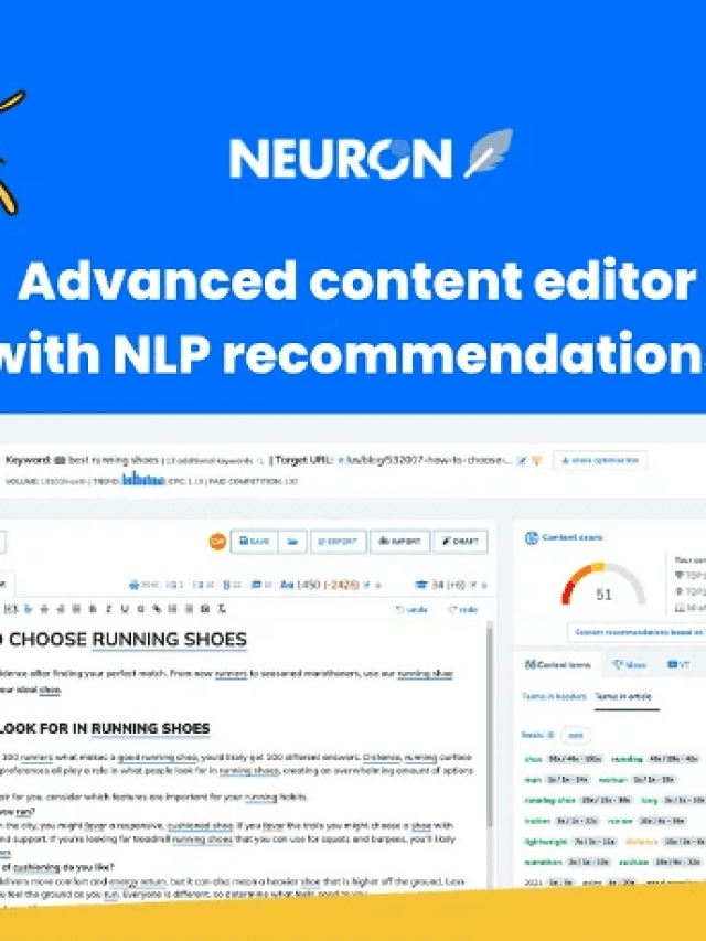 neuronwriter appsumo
